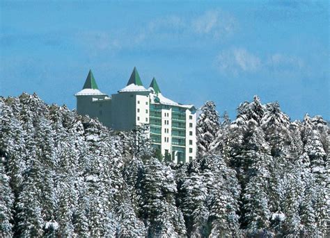 Shimla casino